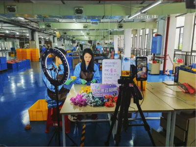 苏仙区 『岗位体验官』进园区，『沉浸式』带岗信息咨询服务助推精准就业